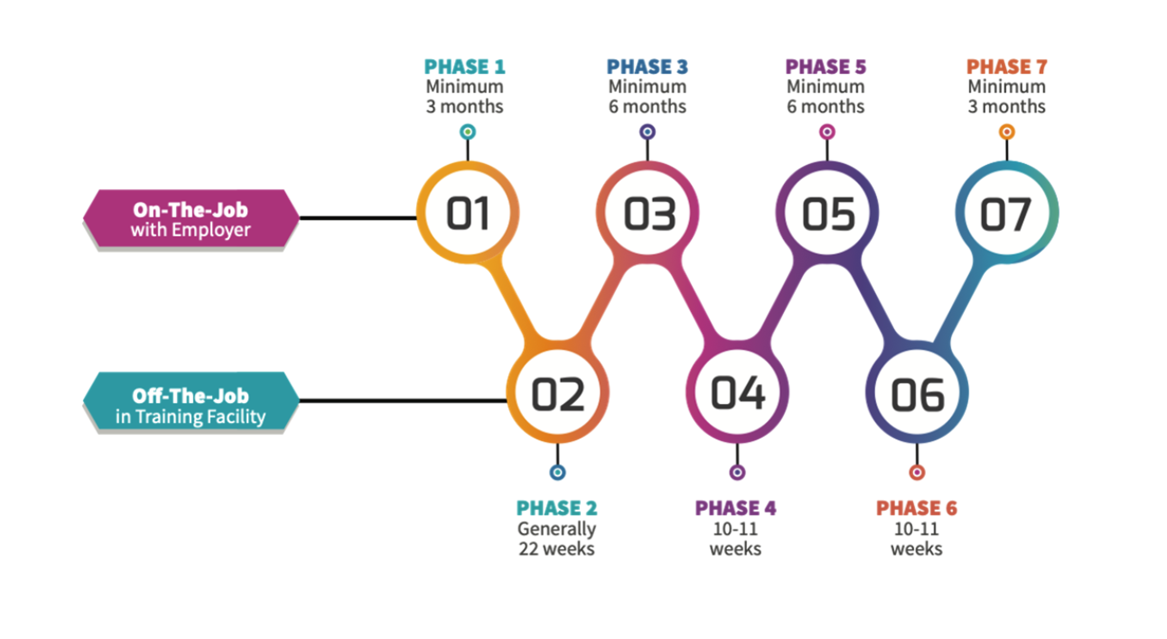 Image of Apprenticeship timeline