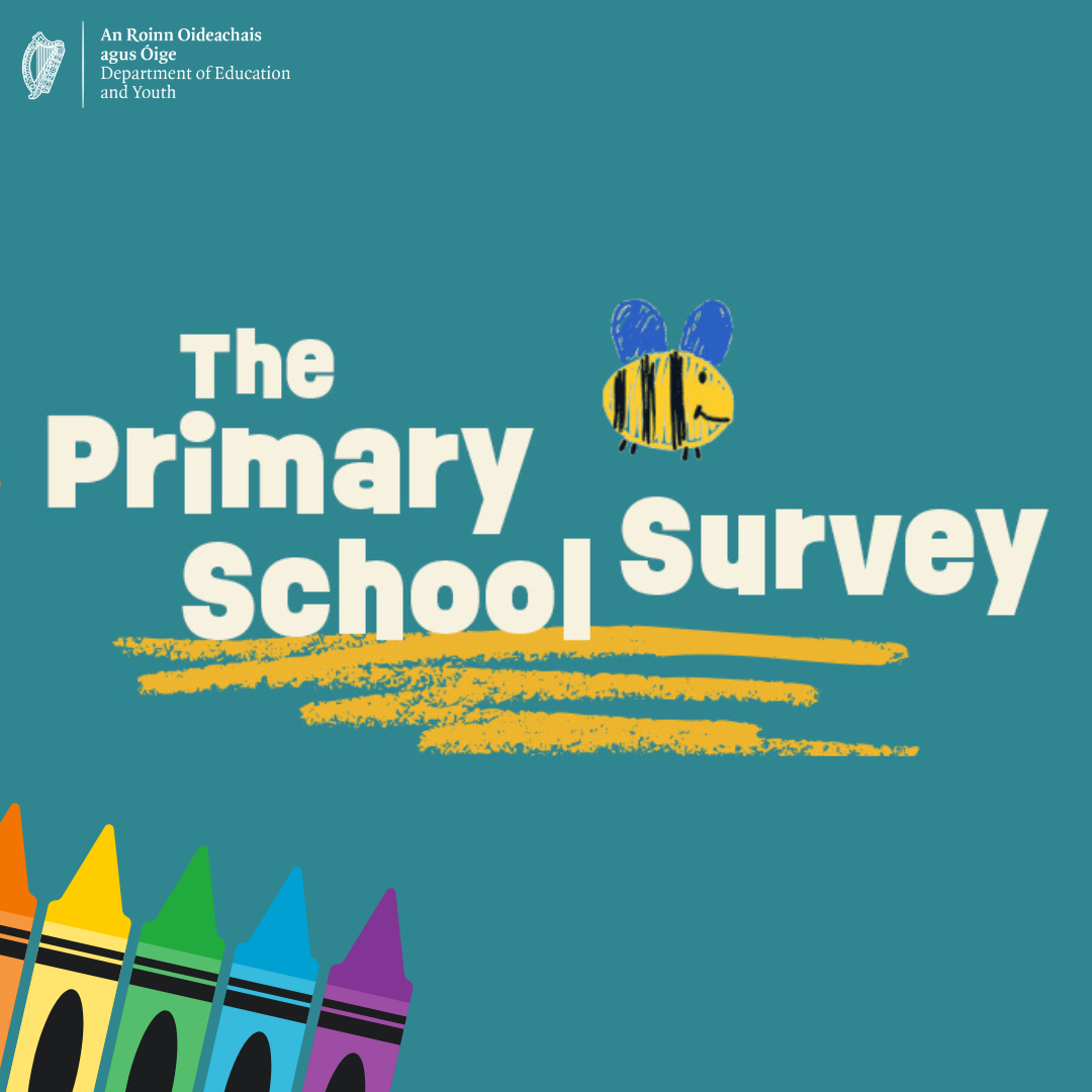 The Primary School Survey