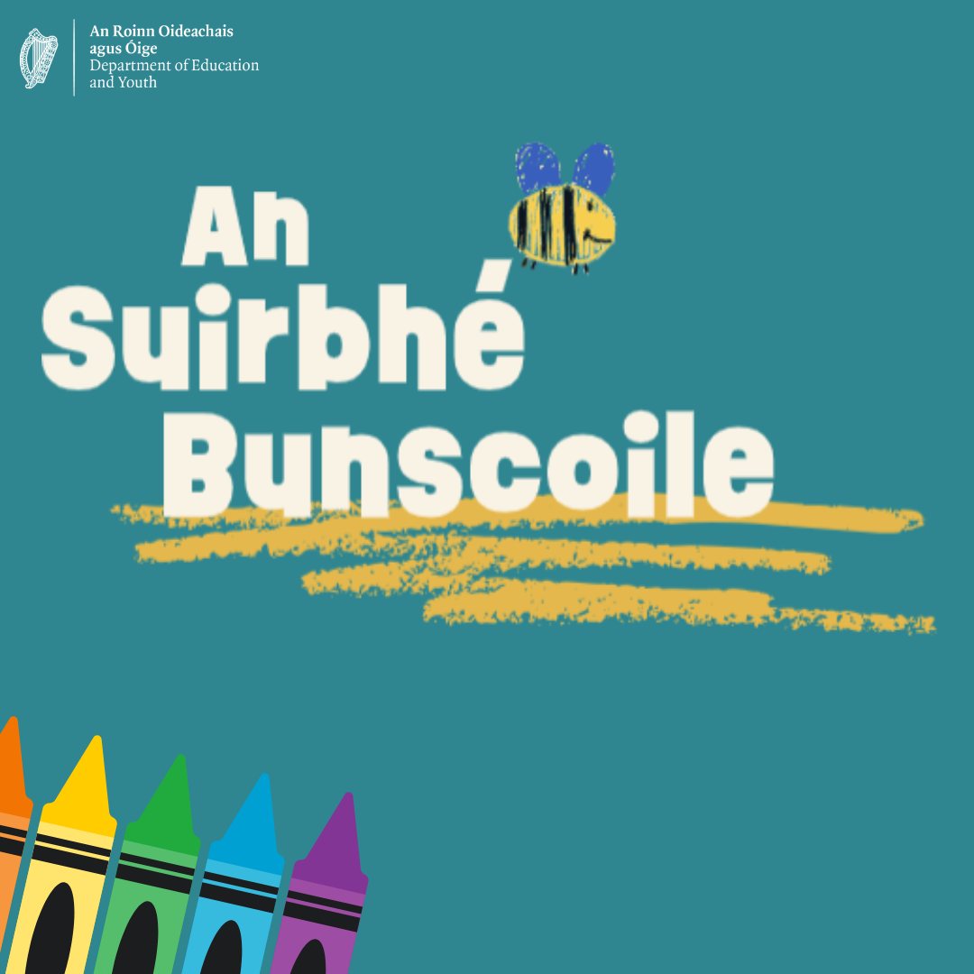 An Suirbhé Bunscoile